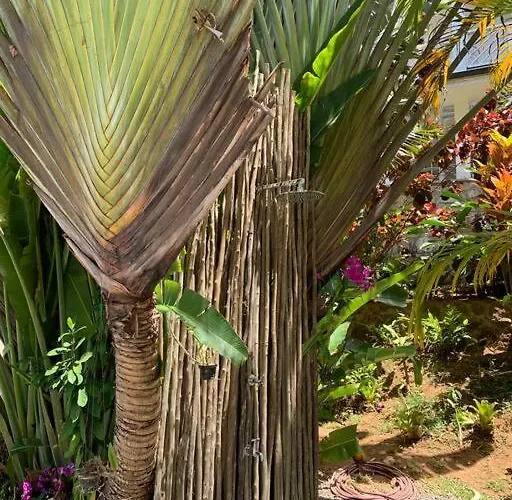 Lägenhet Maison De Jardin Victoria